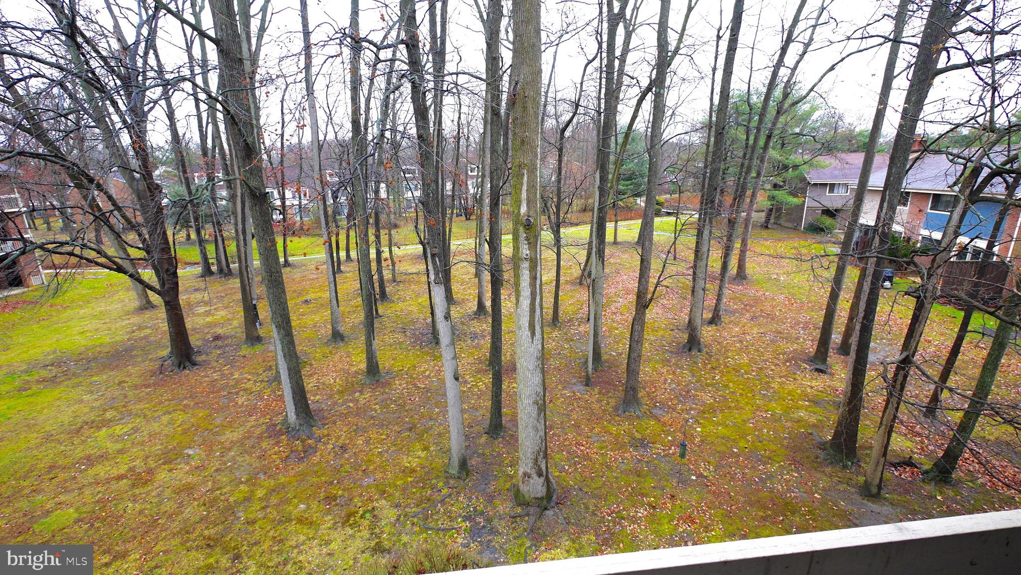 131 Echelon Road Voorhees, NJ 08043 - Photo 1 of 24 Gallery Image 1