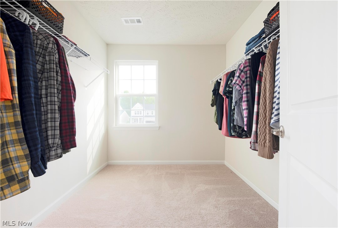 238 Stone Ridge Way Berea, OH 44017 - Photo 20 of 30 Gigantic 8x8 walk-in closet!