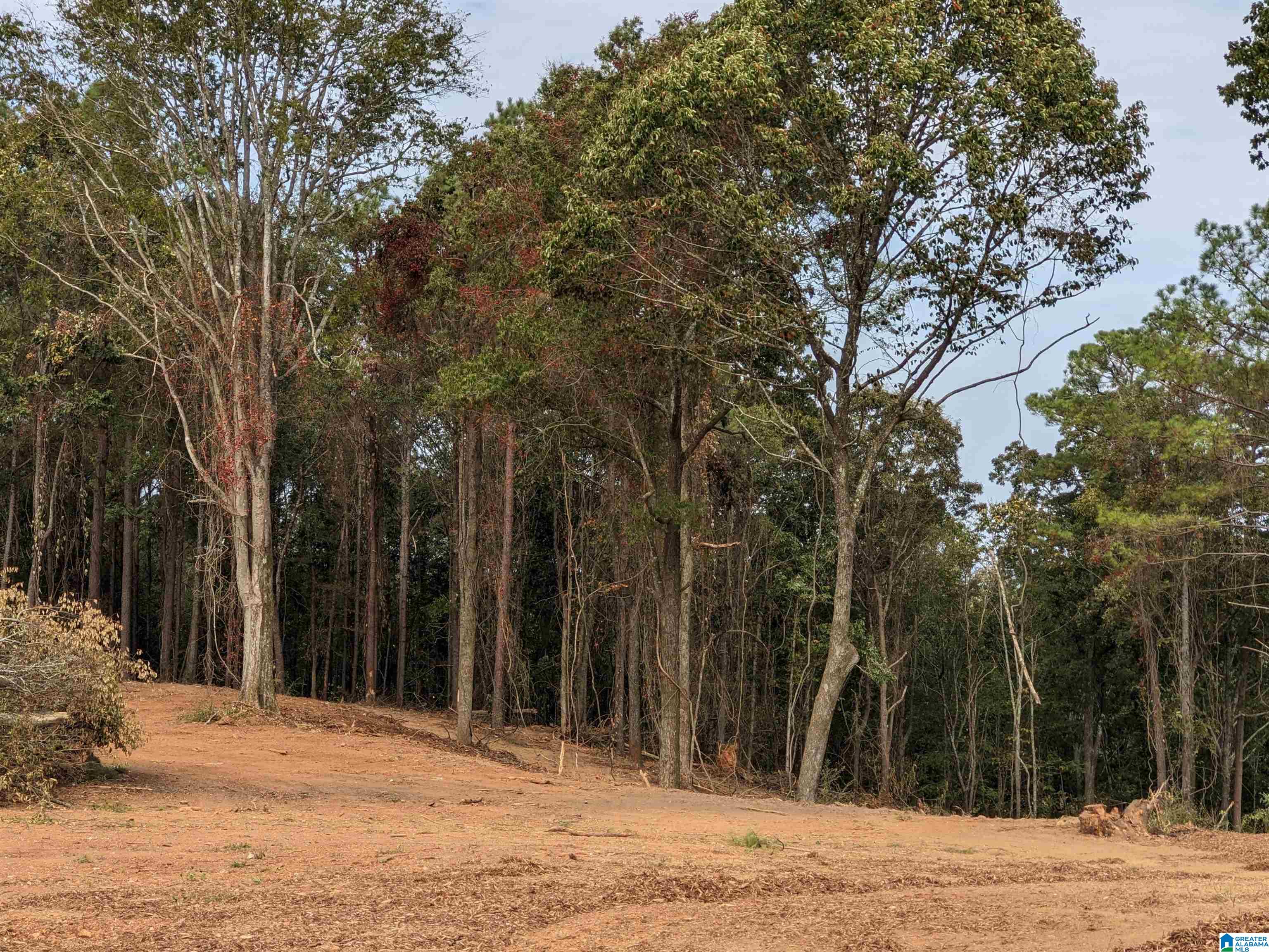 16091 Jackson Trace Road Lincoln, AL 35096 - Photo 14 of 17