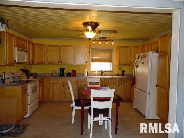 103 State Street Bryant, IL 61519 - Photo 5 of 30 Gallery Image 5