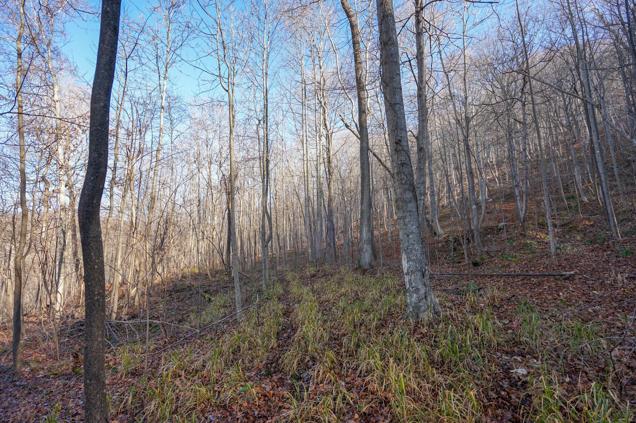 2430 Long Lick Road Stout, OH 45684 - Photo 26 of 47 DSC09739