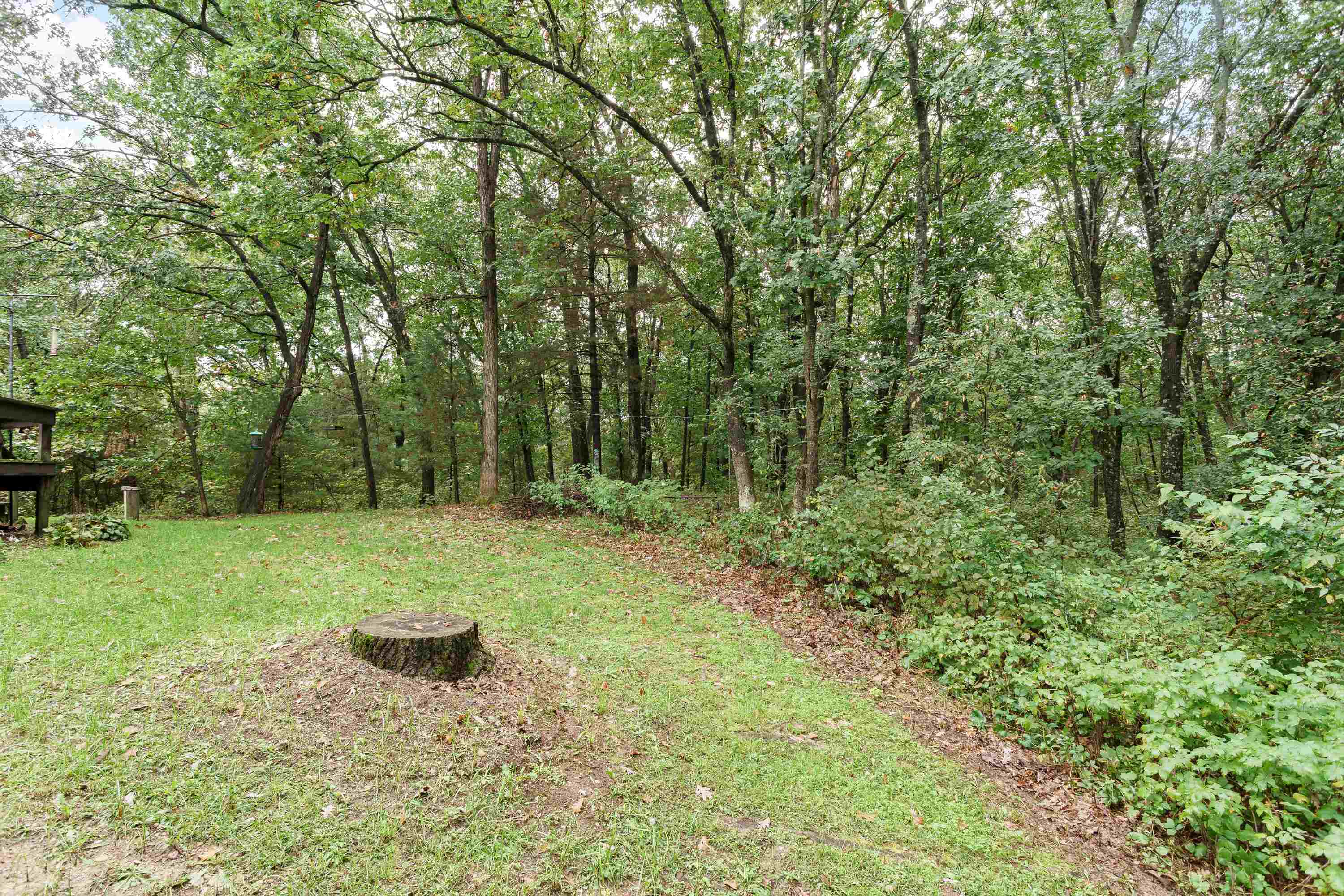 N583 Fawn Lane Coloma, WI 54930 - Photo 39 of 47