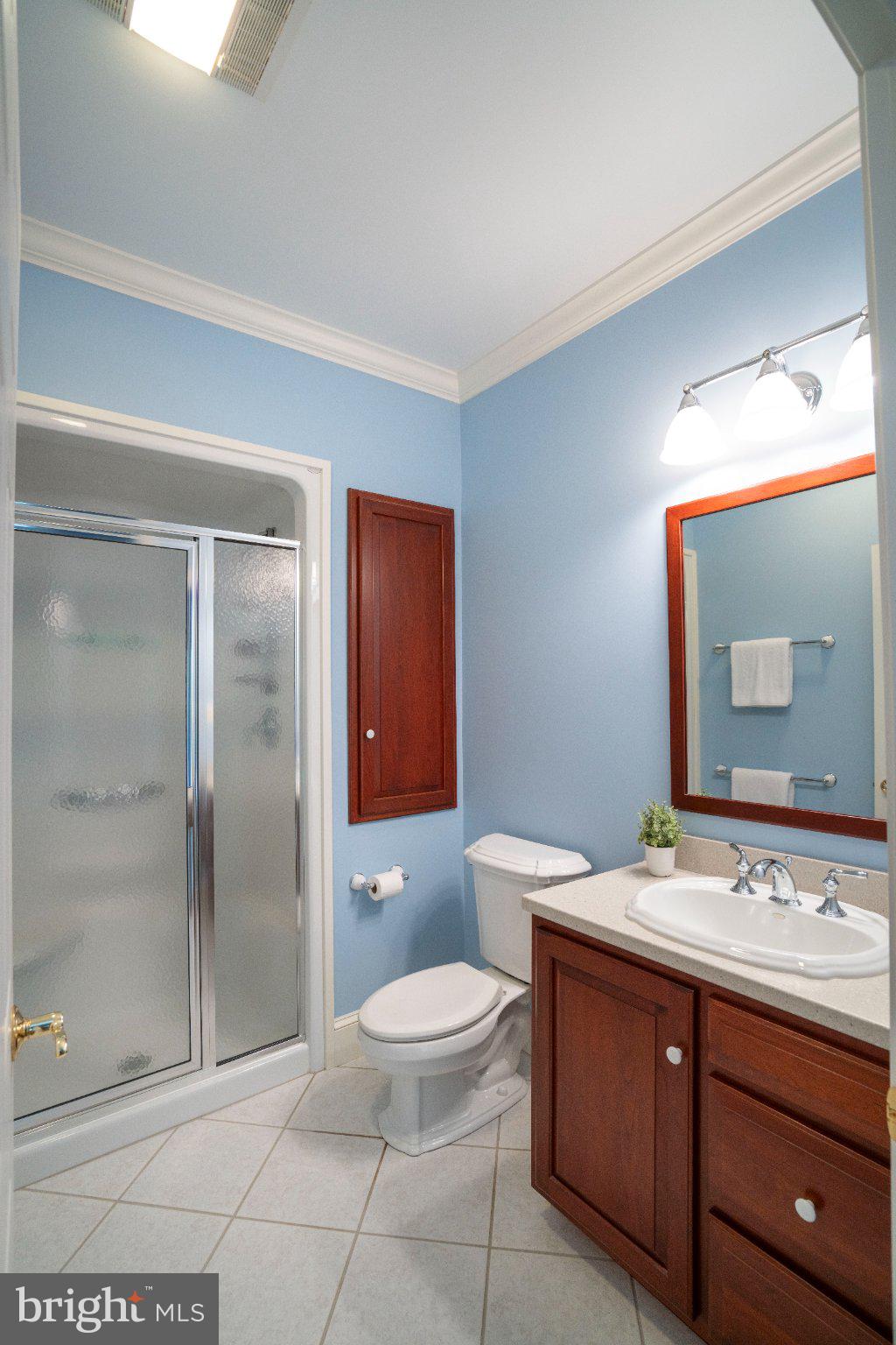 1100 Haymaker Road State College, PA 16801 - Photo 37 of 87 Full bathroom in family room