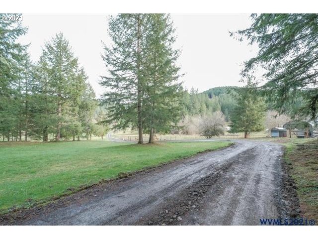 32724 Old Mill Road Lebanon, OR 97355 - Photo 24 of 32 a view of a yard with a tree