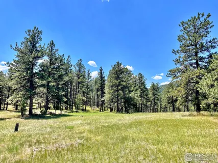 a view of yard with swimming pool
