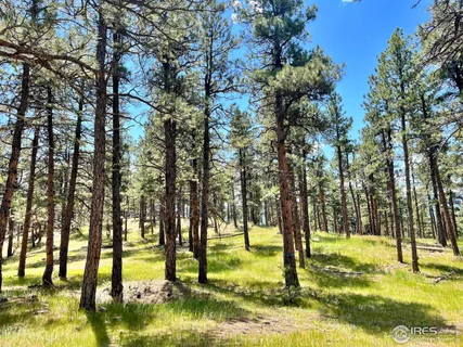 a view of swimming pool with trees