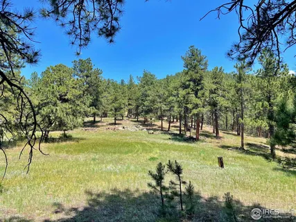 a view of yard with swimming pool