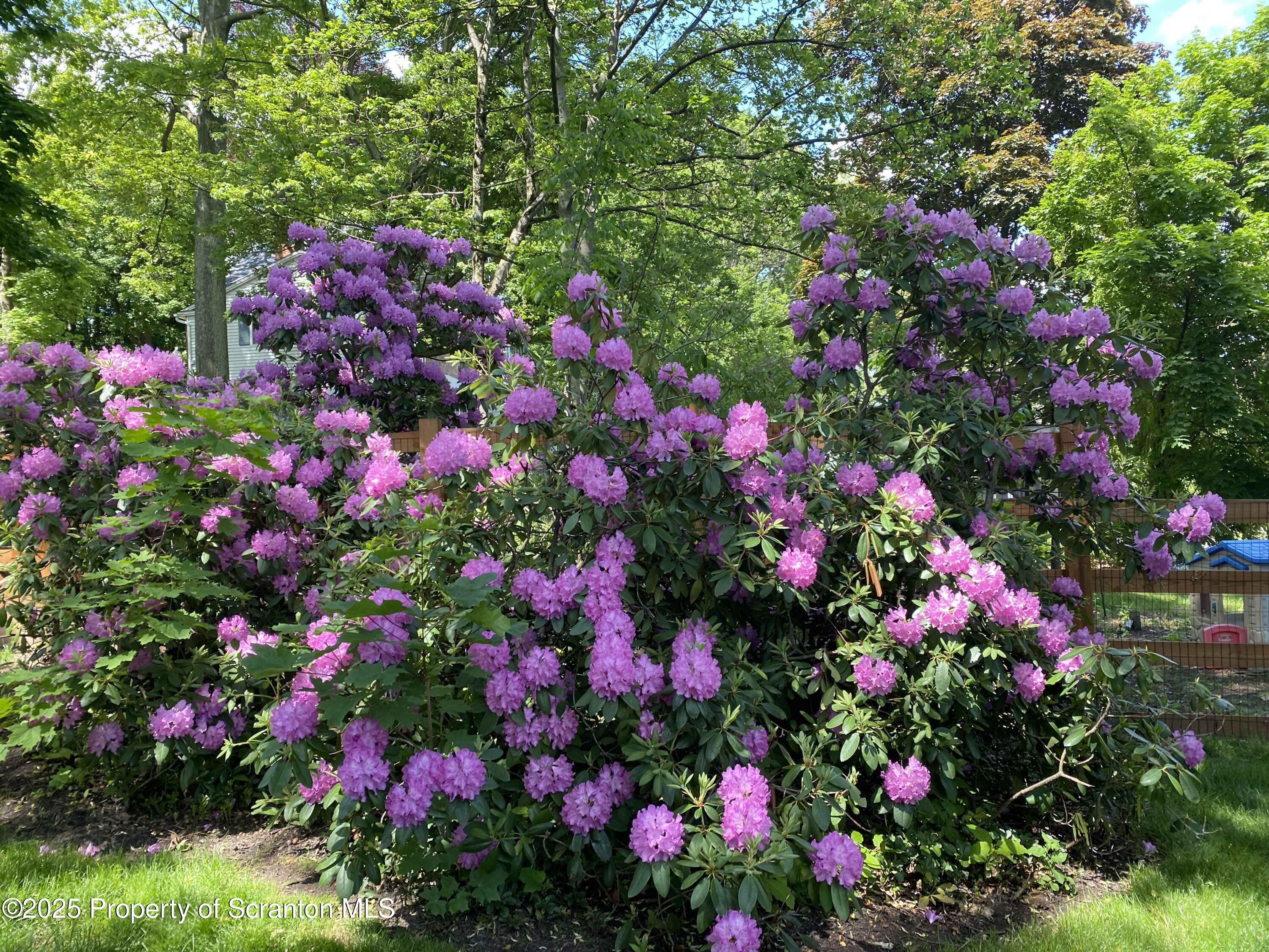 111 Upper Knapp Road Clarks Summit, PA 18411 - Photo 49 of 52 a view of a flower