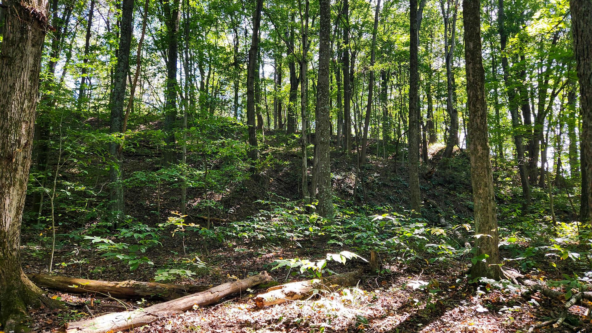 871 Poplar Ridge Road, Unit PONDS POPLAR RIDGE TRACT 13) Gallipolis, OH 45631 - Photo 28 of 36 CT-28