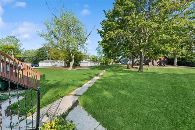 a view of a park with a trees and grass