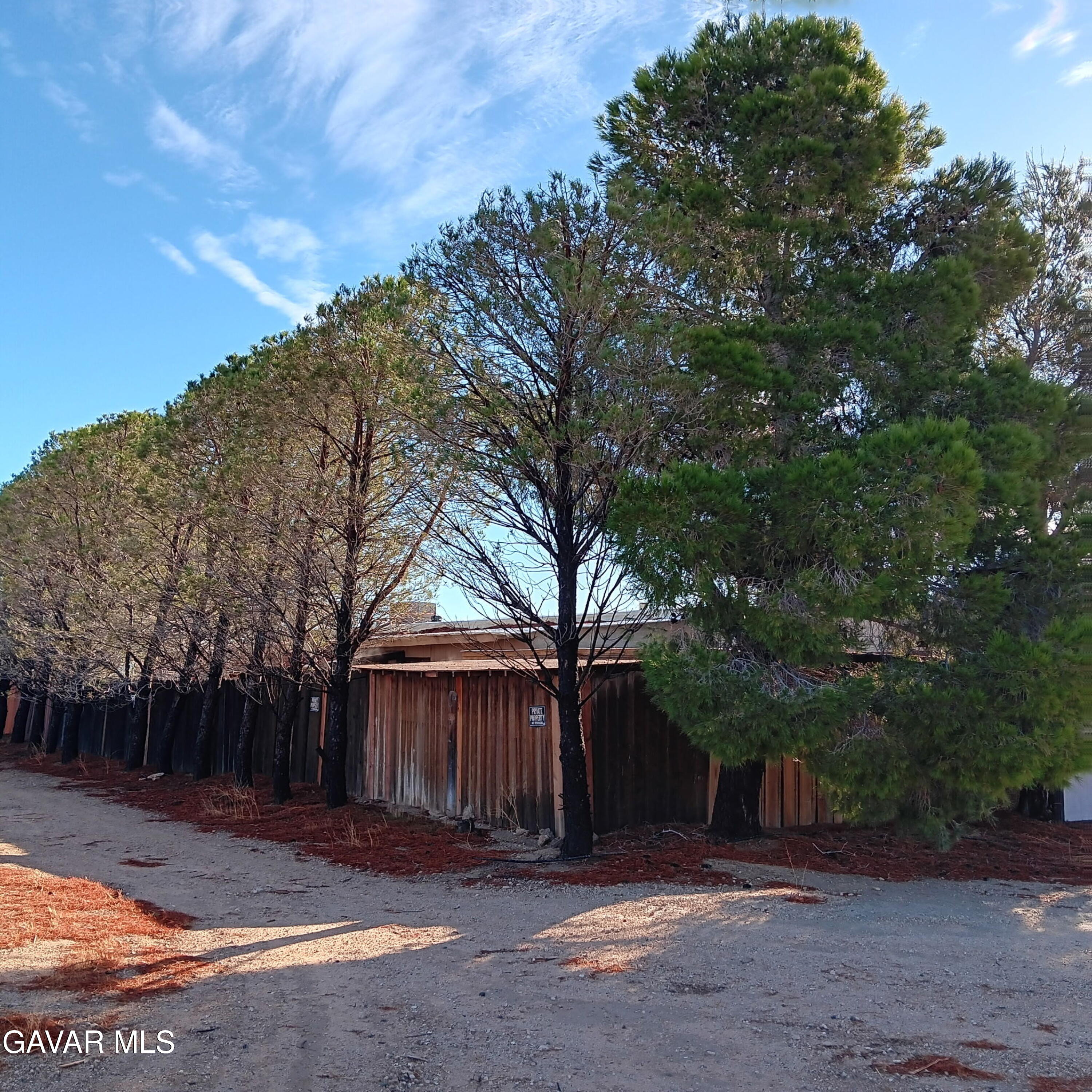 10364 15th Street Mojave, CA 93501 - Photo 11 of 15 a view of backyard with wooden fence and large trees