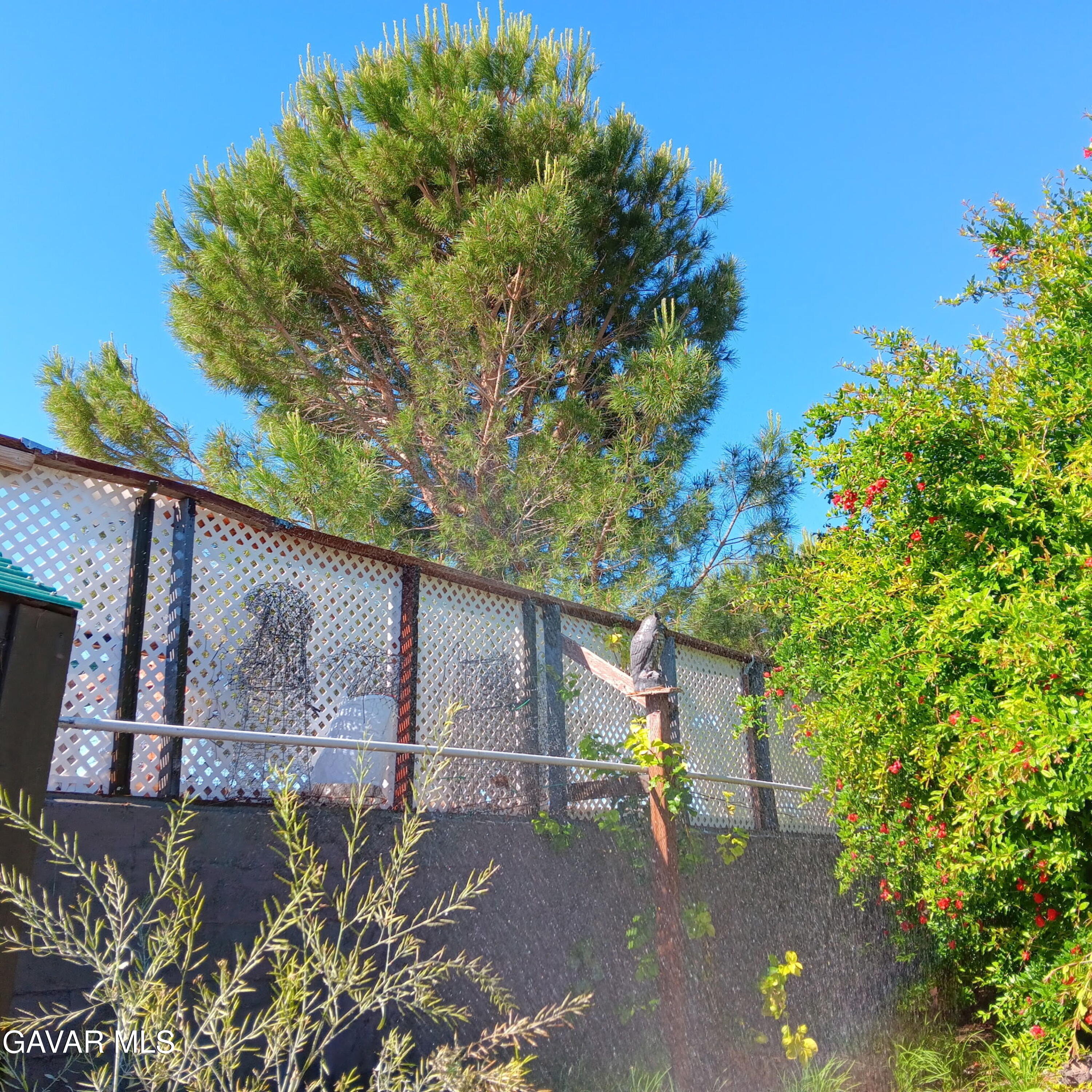 10364 15th Street Mojave, CA 93501 - Photo 8 of 15 a backyard of a house with lots of green space