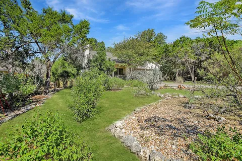 a lush green forest with lots of trees