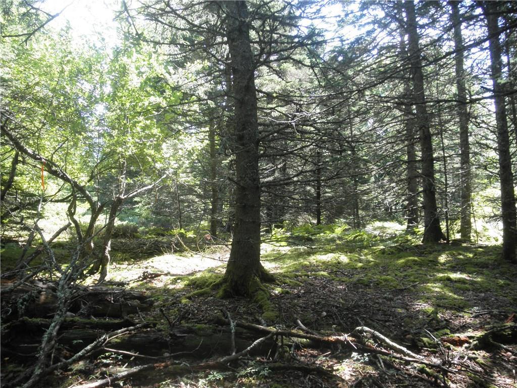 2 Ritz Road Vinalhaven, ME 04863 - Photo 7 of 19 Photo