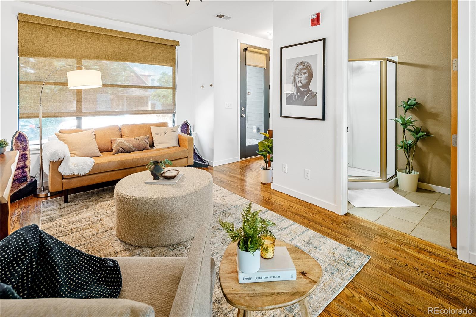568 Inca Street Denver, CO 80204 - Photo 4 of 21 Gallery Image 4