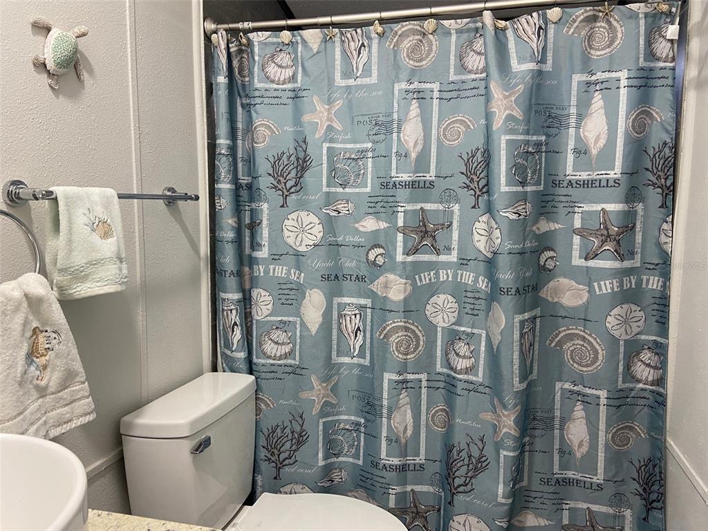 11743 Purdue Street New Port Richey, FL 34654 - Photo 13 of 32