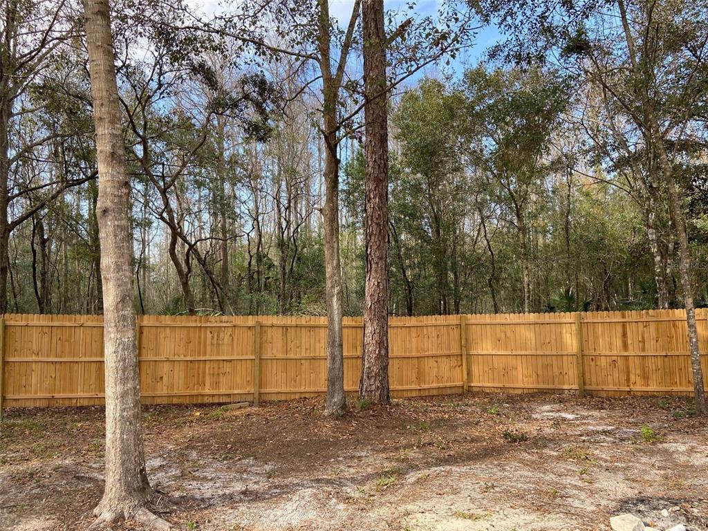 11743 Purdue Street New Port Richey, FL 34654 - Photo 22 of 32