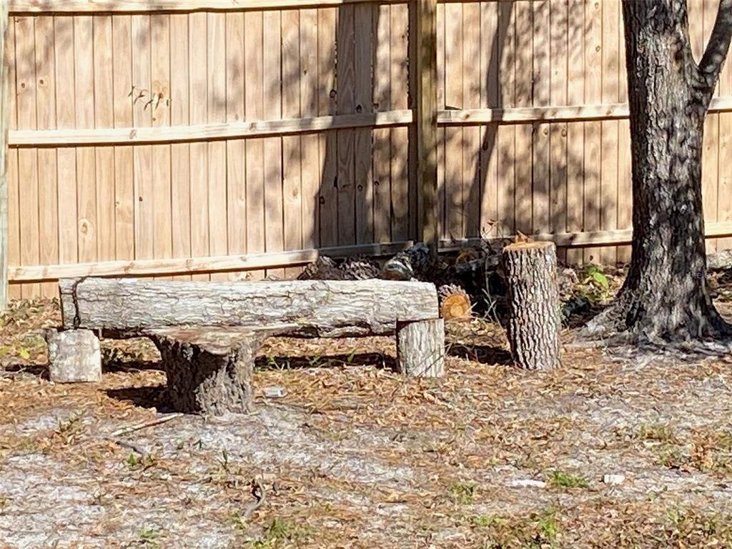 11743 Purdue Street New Port Richey, FL 34654 - Photo 23 of 32