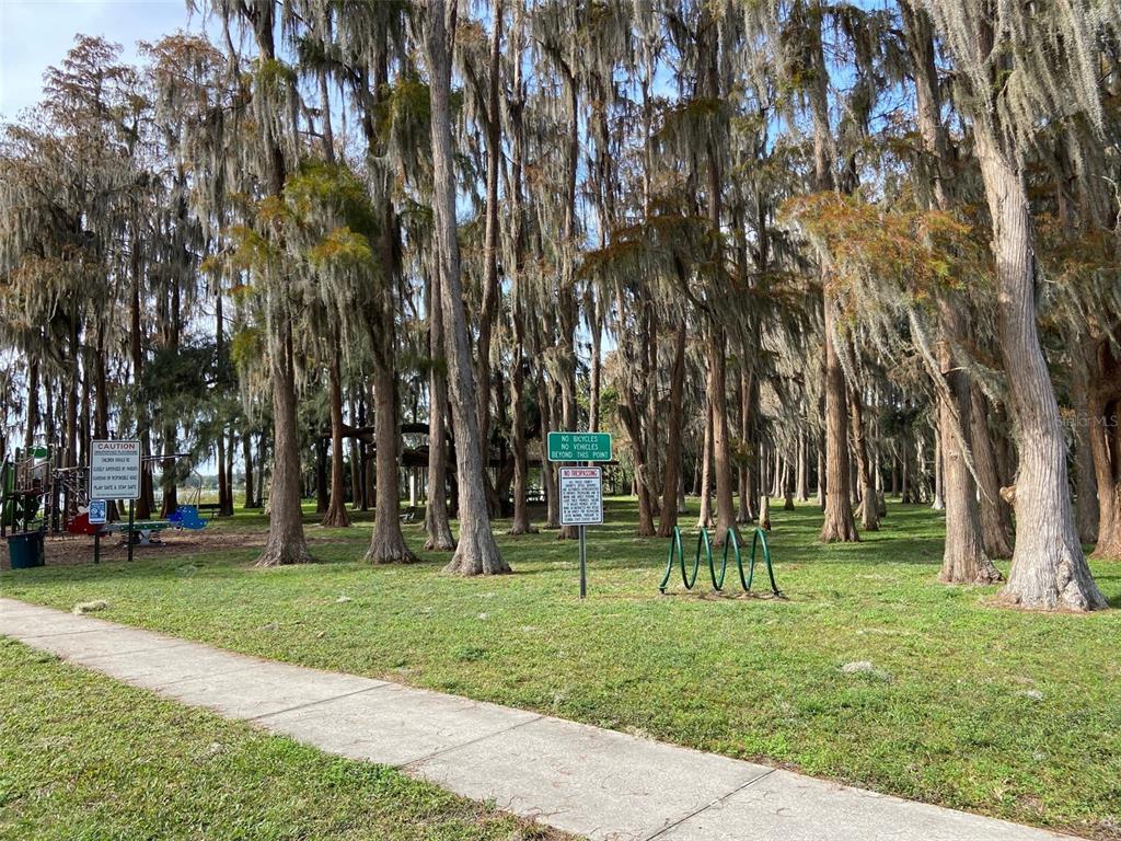 11743 Purdue Street New Port Richey, FL 34654 - Photo 29 of 32