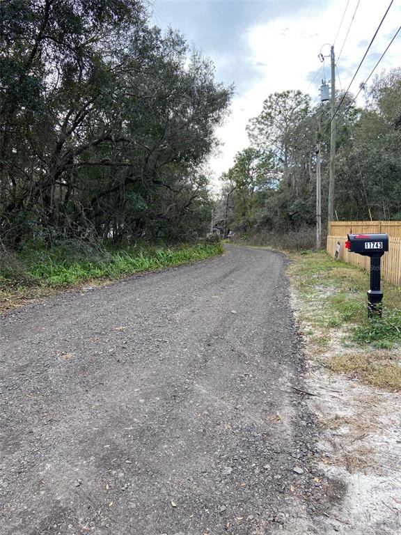 11743 Purdue Street New Port Richey, FL 34654 - Photo 5 of 32