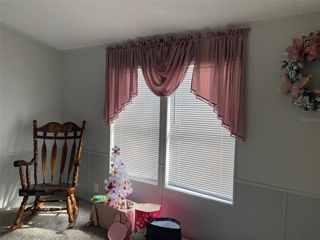 11743 Purdue Street New Port Richey, FL 34654 - Photo 6 of 32