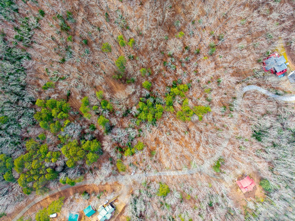 52 B Forest View Murphy, NC 28906 - Photo 7 of 13