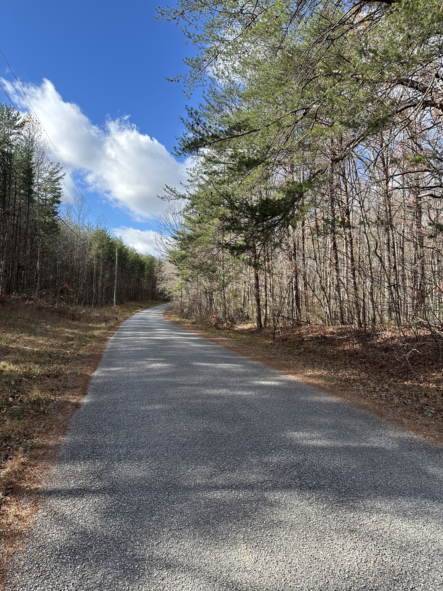 0 Hideaway Cabin Road Altamont, TN 37301 - Photo 3 of 30 Gallery Image 3