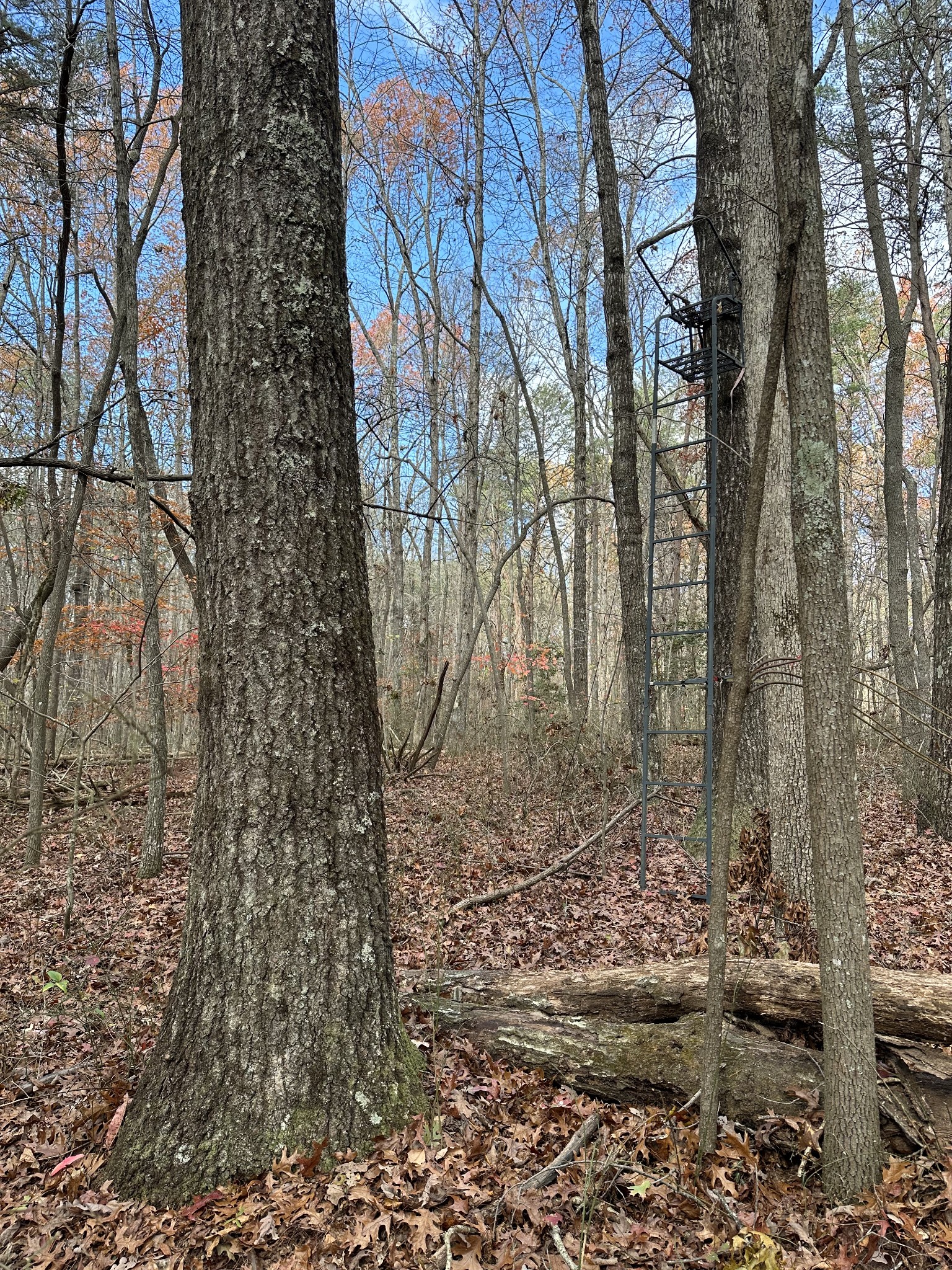 0 Hideaway Cabin Road Altamont, TN 37301 - Photo 8 of 30 Gallery Image 8