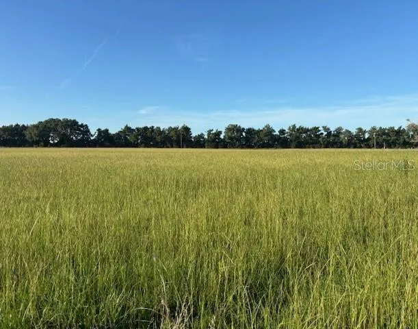 a view of an ocean and beach