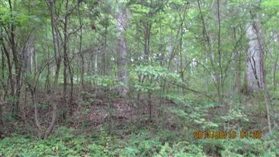 0 Lebanon Road Bagdad, KY 40003 - Photo 22 of 22 Photo 22