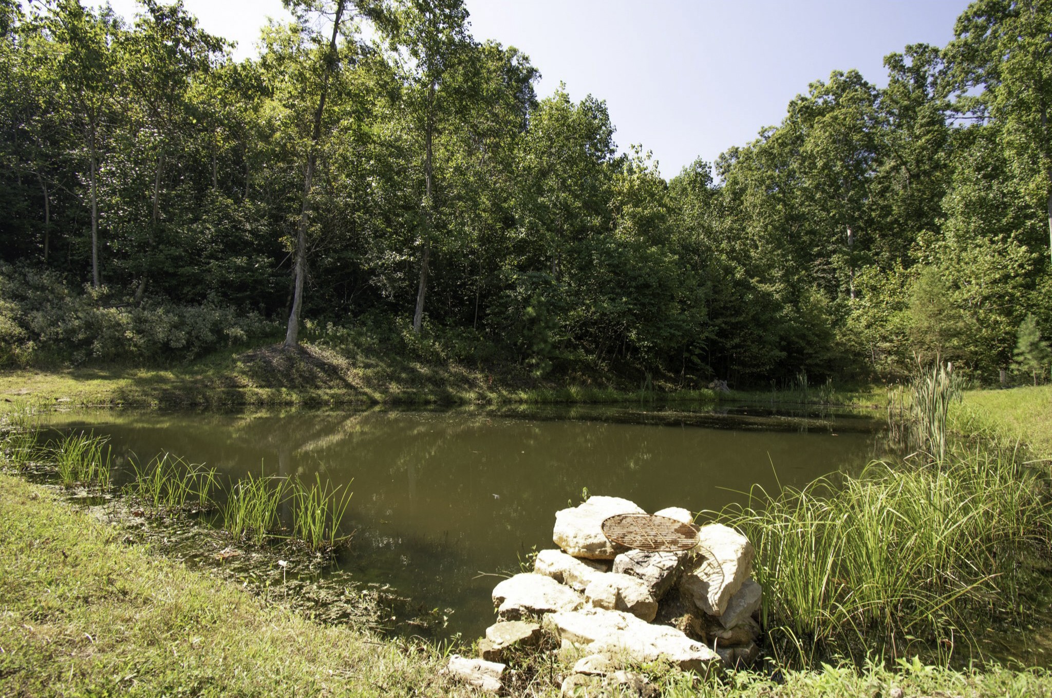 5564 Pinewood Road Franklin, TN 37064 - Photo 67 of 69 a view of a lake with green space