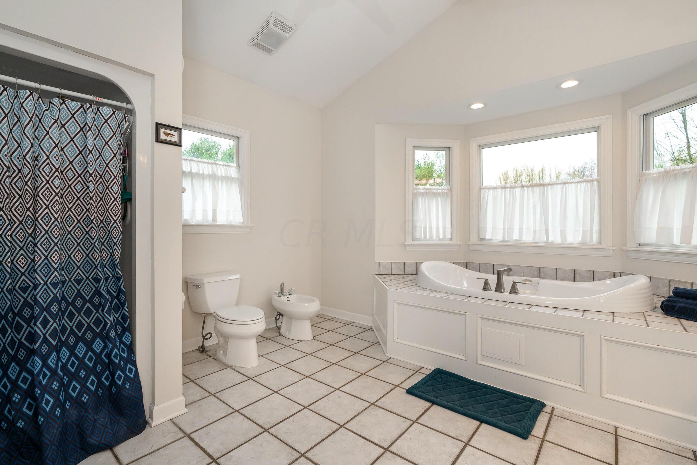 1232 Dale Ford Road Delaware, OH 43015 - Photo 22 of 59 Luxury owners bath with bidet, walk in shower.