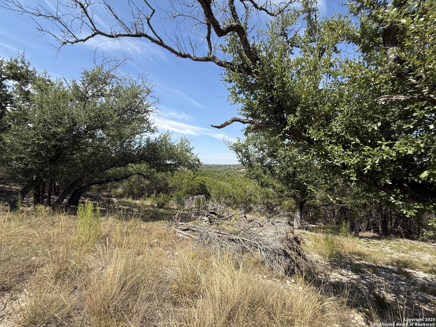 640 Crossman Fischer, TX 78623 - Photo 3 of 14