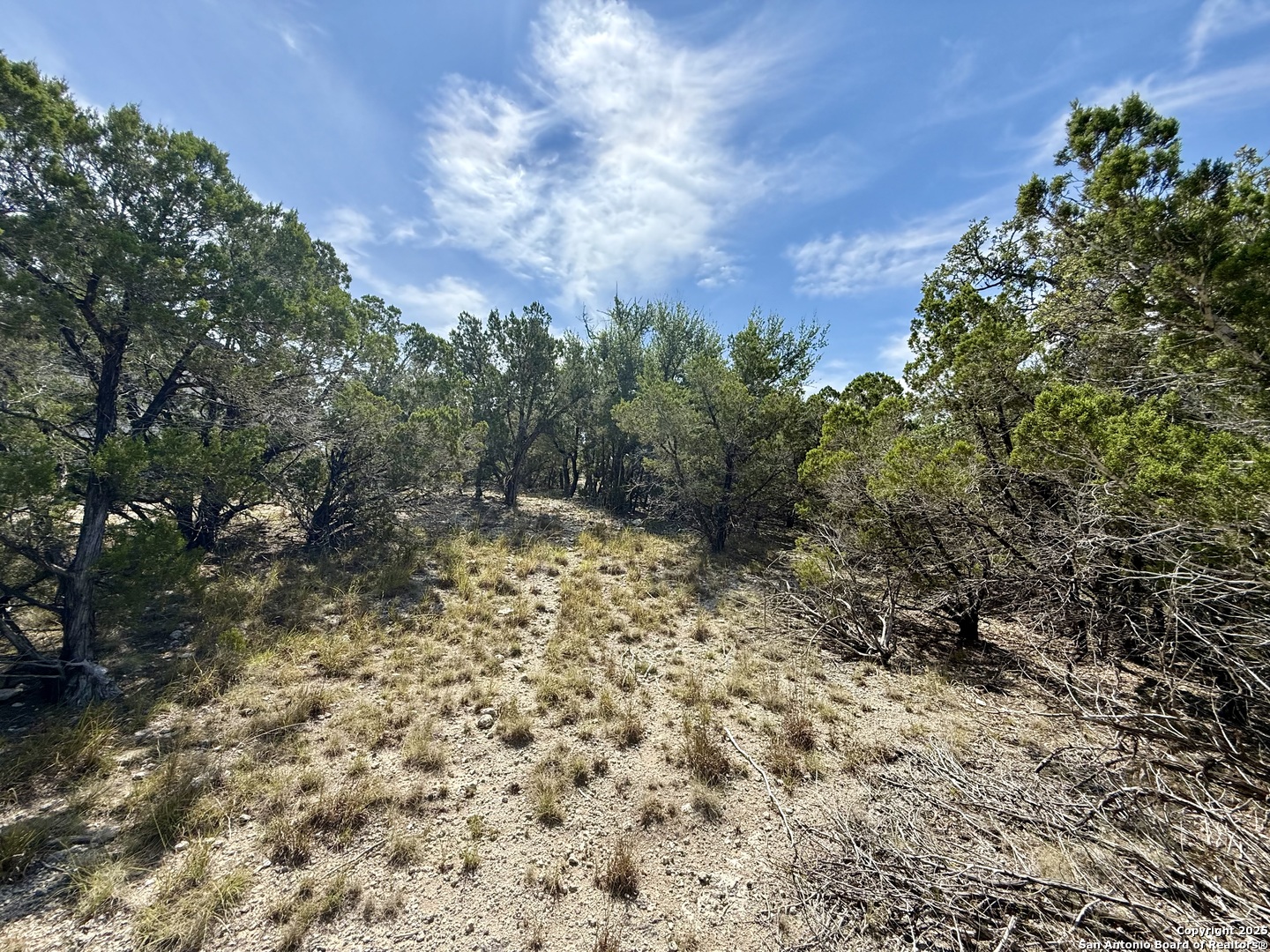 640 Crossman Fischer, TX 78623 - Photo 4 of 14