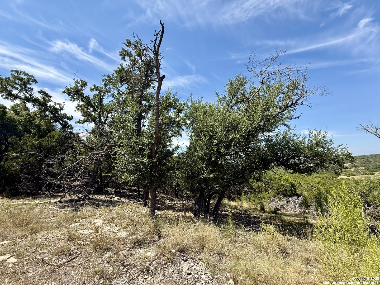 640 Crossman Fischer, TX 78623 - Photo 6 of 14