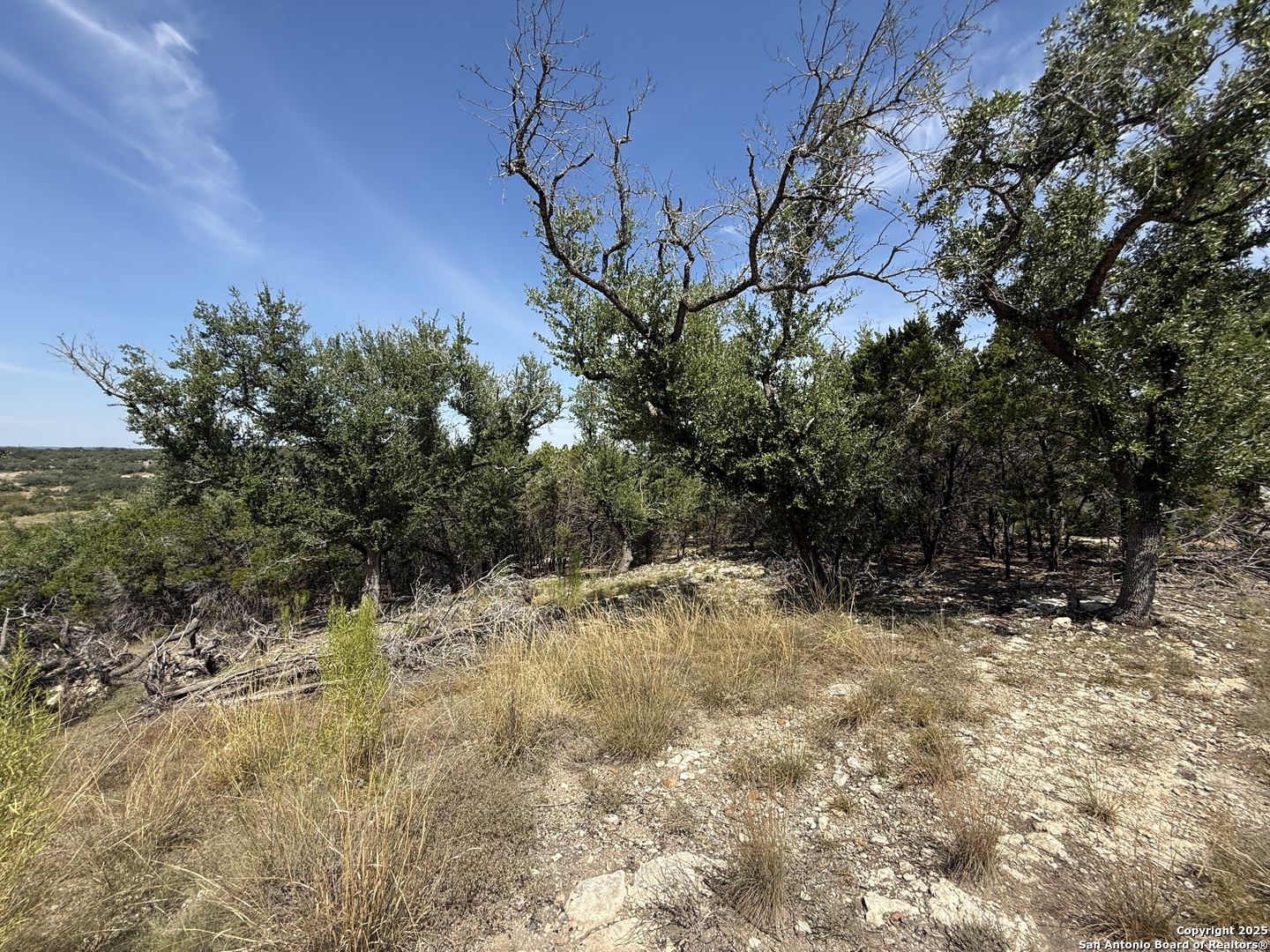 640 Crossman Fischer, TX 78623 - Photo 7 of 14
