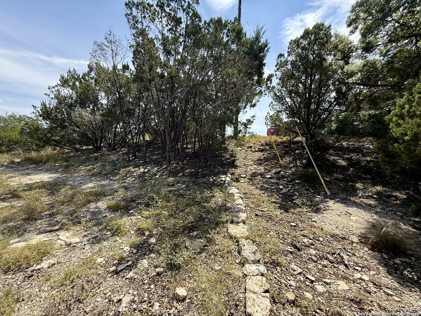 640 Crossman Fischer, TX 78623 - Photo 8 of 14