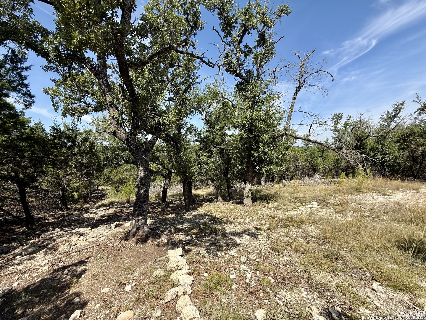 640 Crossman Fischer, TX 78623 - Photo 9 of 14