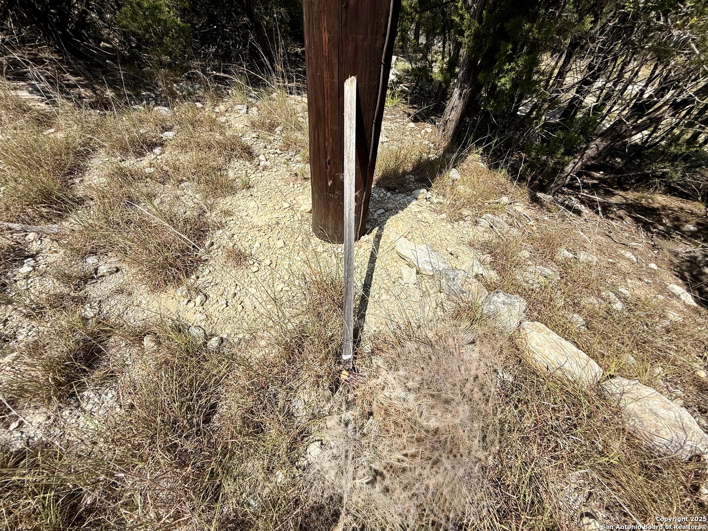 640 Crossman Fischer, TX 78623 - Photo 10 of 14