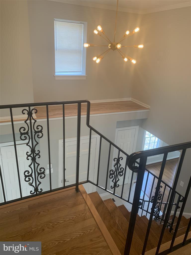 805 Balls Hill Road McLean, VA 22101 - Photo 17 of 40