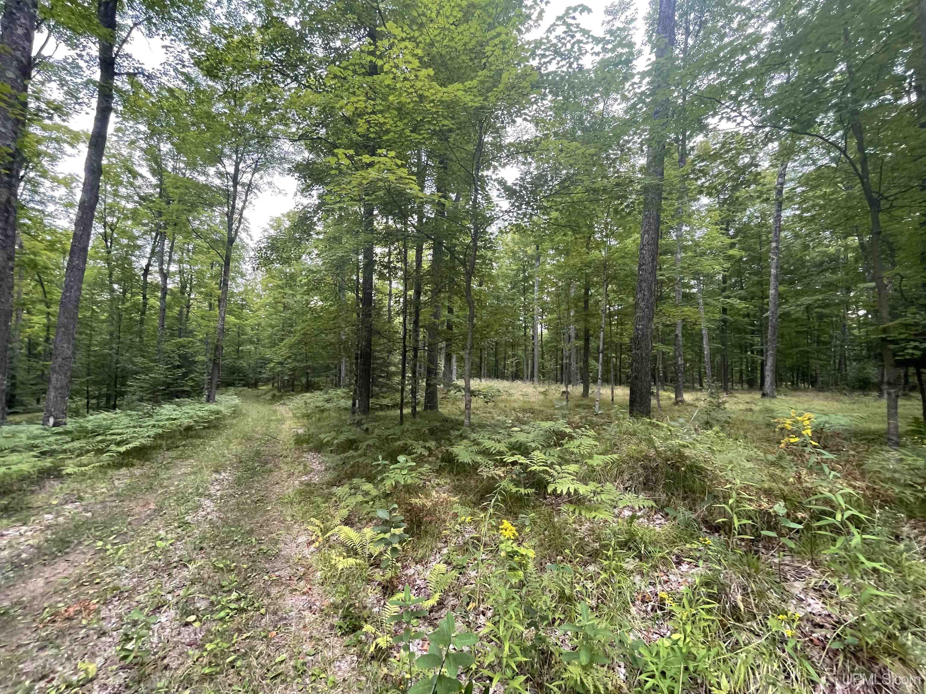 Tbd Tbd County Road, Unit 1 Cornell, MI 49818 - Photo 22 of 41