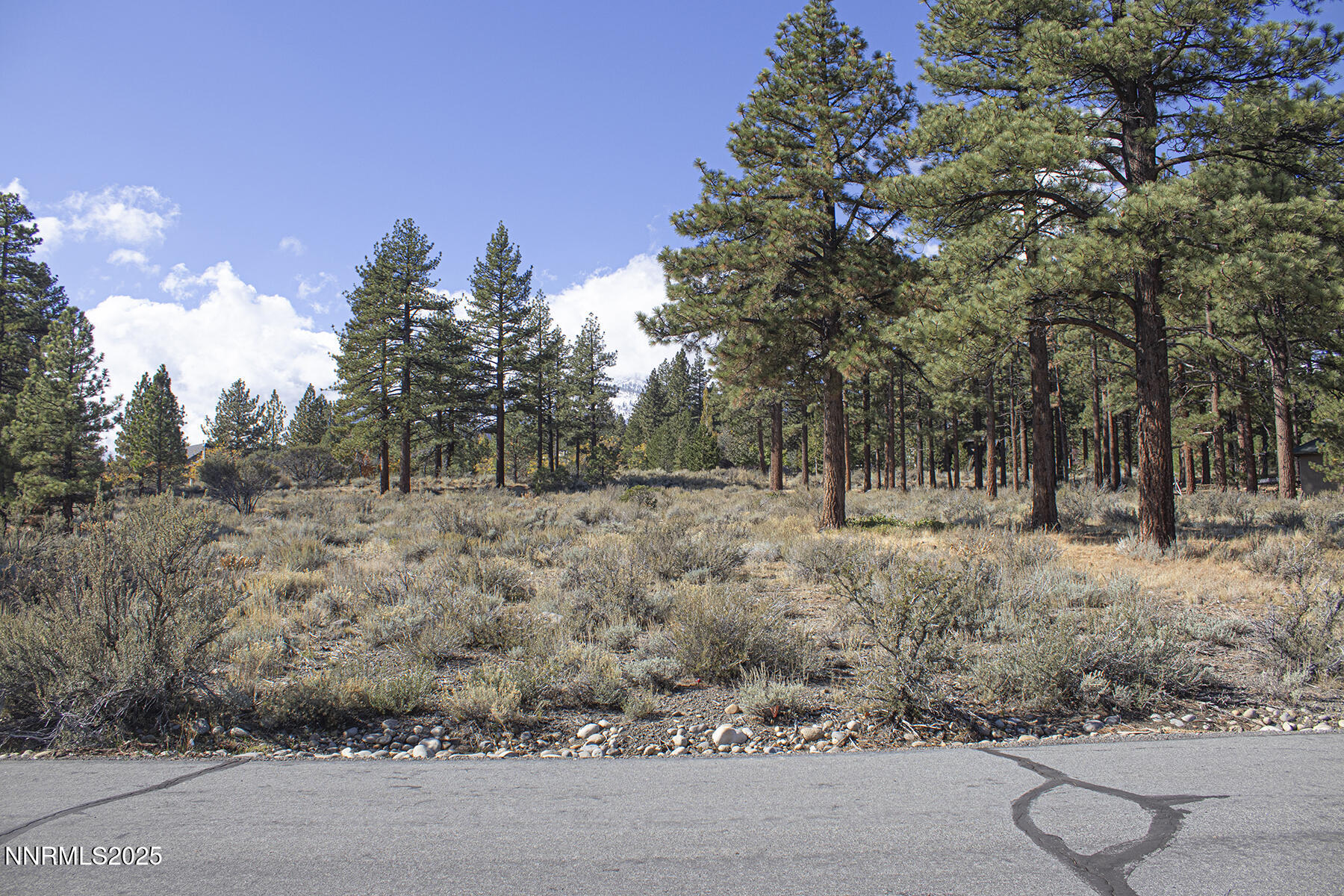 177 Nottingham Court Reno, NV 89511 - Photo 11 of 22 a view of outdoor space and trees