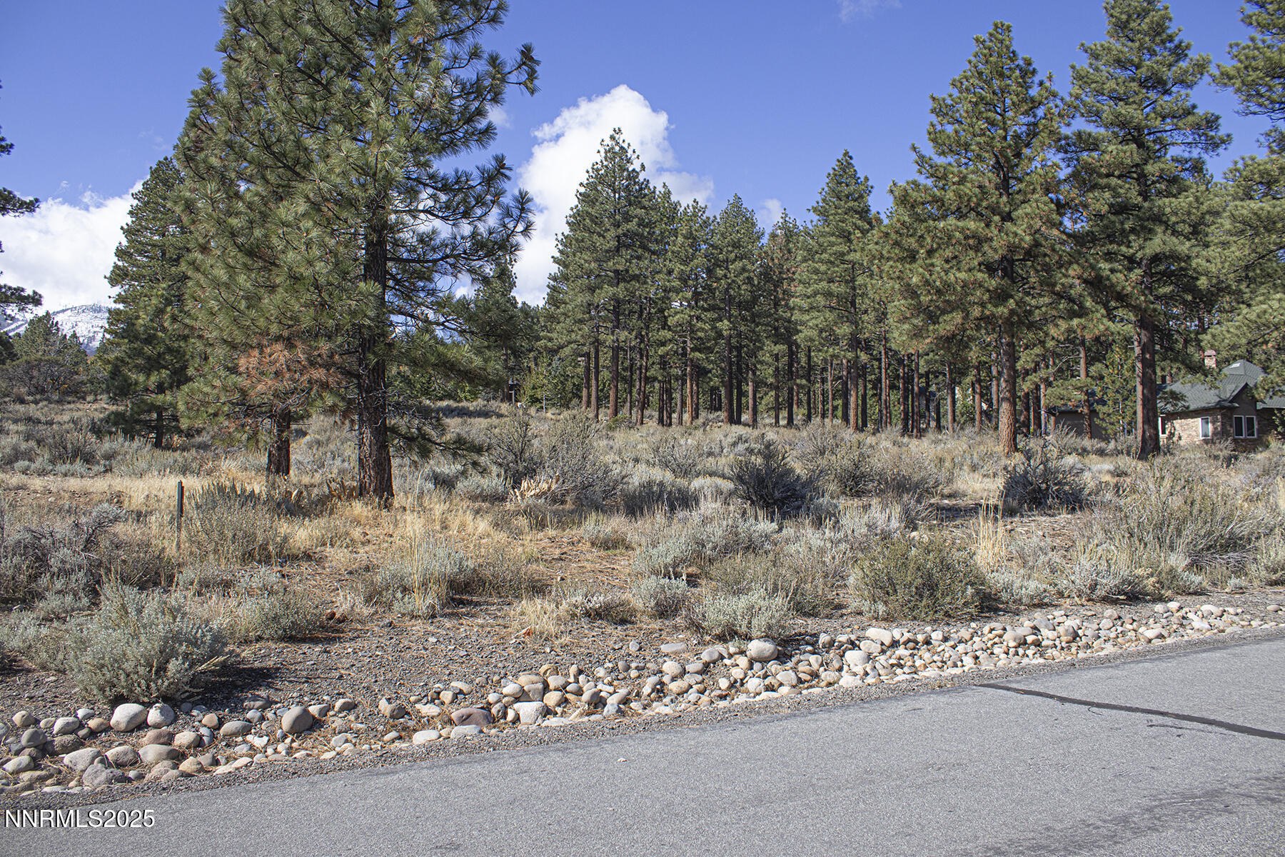 177 Nottingham Court Reno, NV 89511 - Photo 12 of 22 a view of a forest with trees in the background
