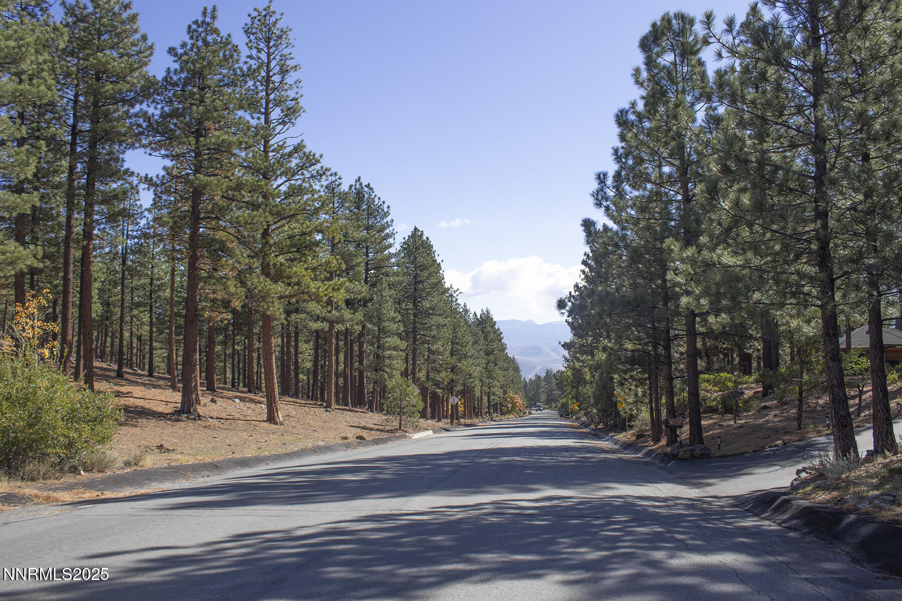 177 Nottingham Court Reno, NV 89511 - Photo 2 of 22 a view of a trees with a house in the background
