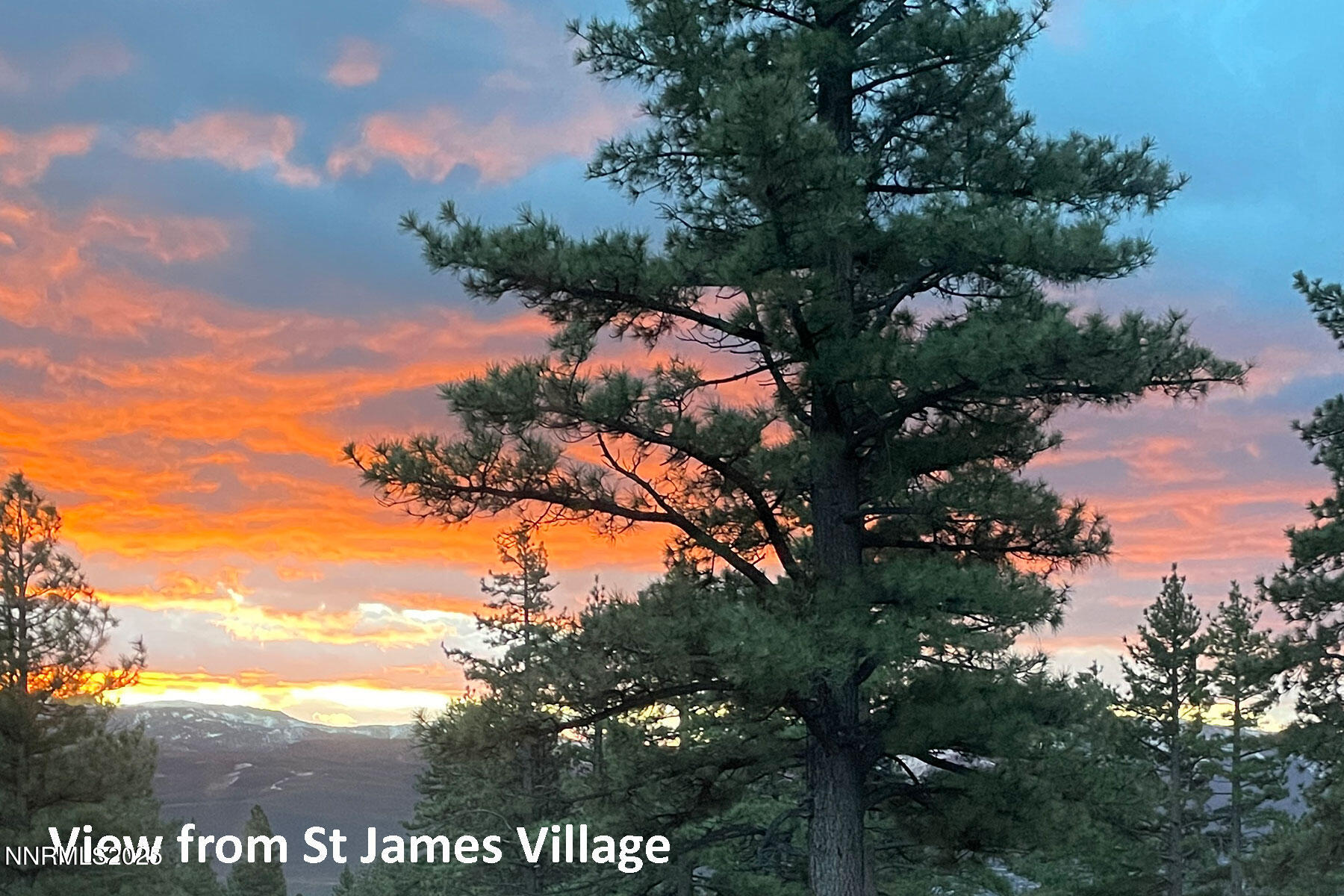 177 Nottingham Court Reno, NV 89511 - Photo 22 of 22