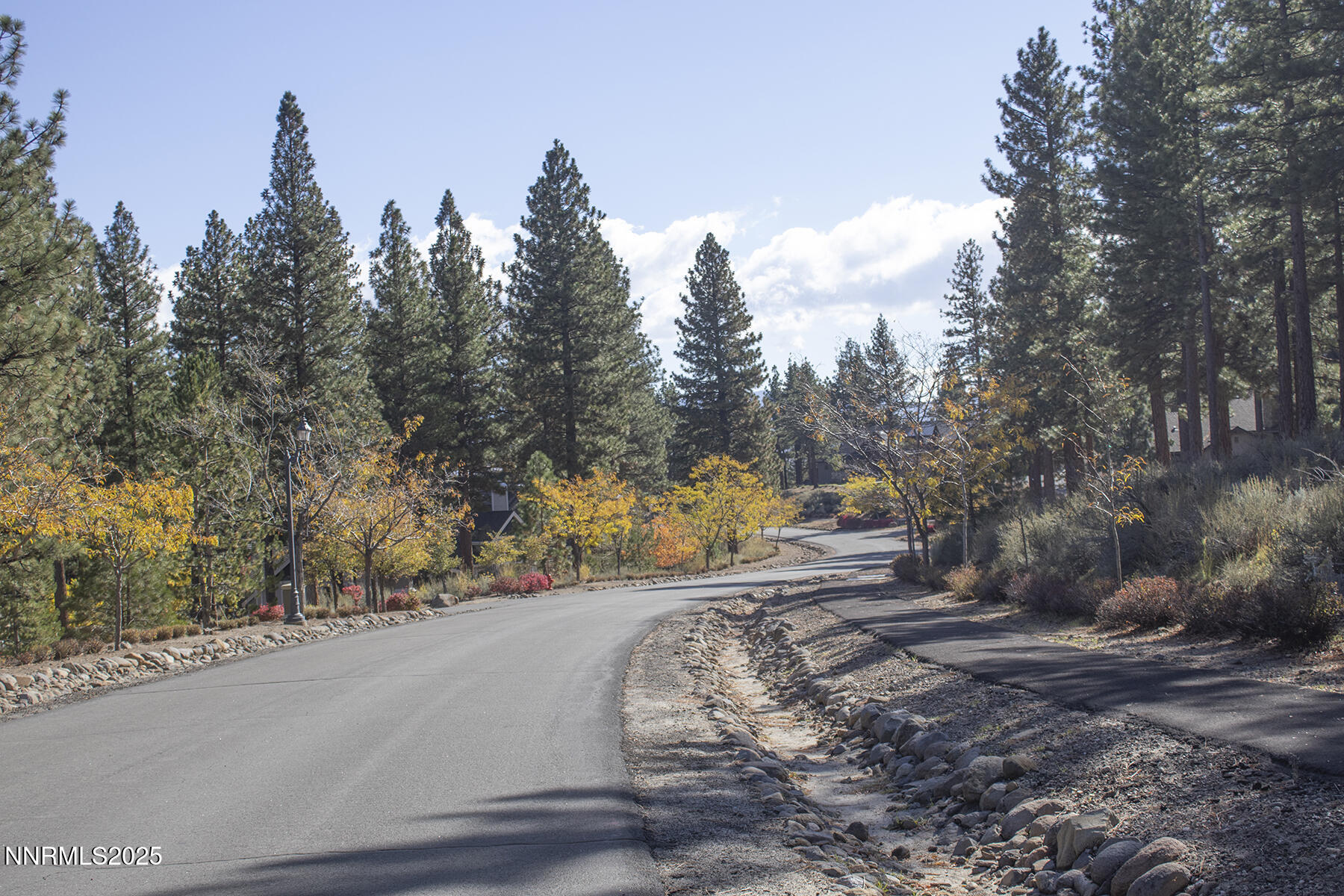 177 Nottingham Court Reno, NV 89511 - Photo 4 of 22 a view of a park with large trees