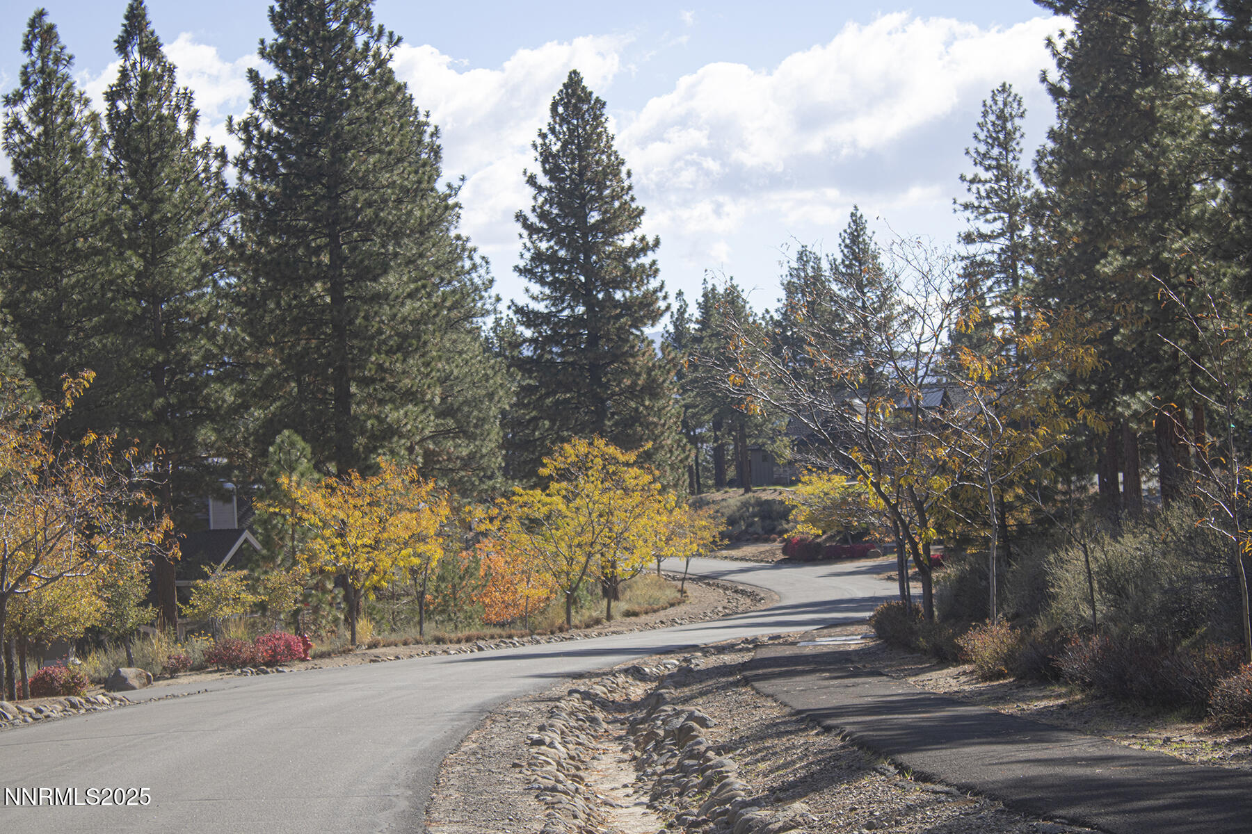 177 Nottingham Court Reno, NV 89511 - Photo 5 of 22 a view of a yard with flower plants