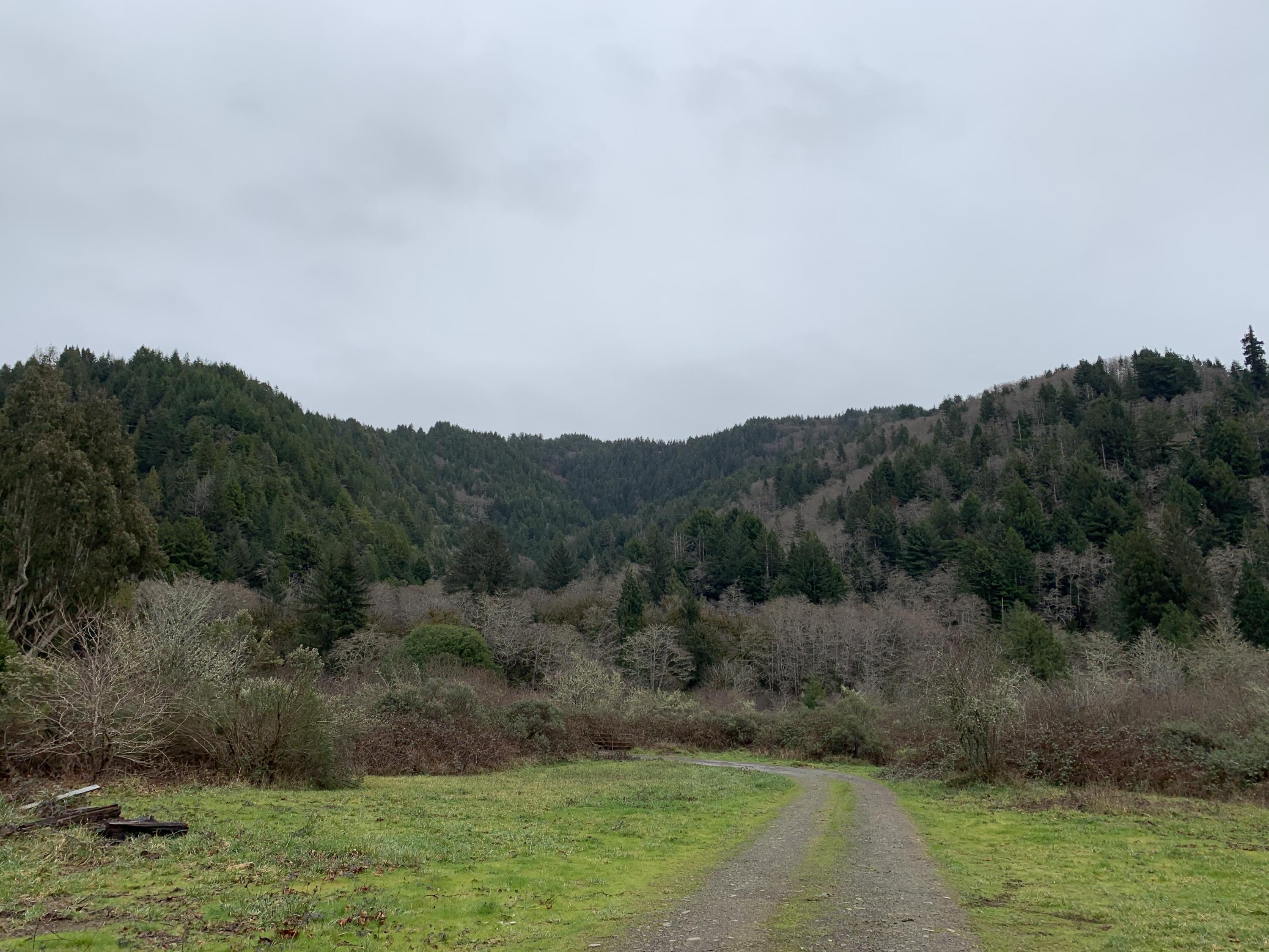 2191 Hunter Creek Road Klamath, CA 95548 - Photo 136 of 136