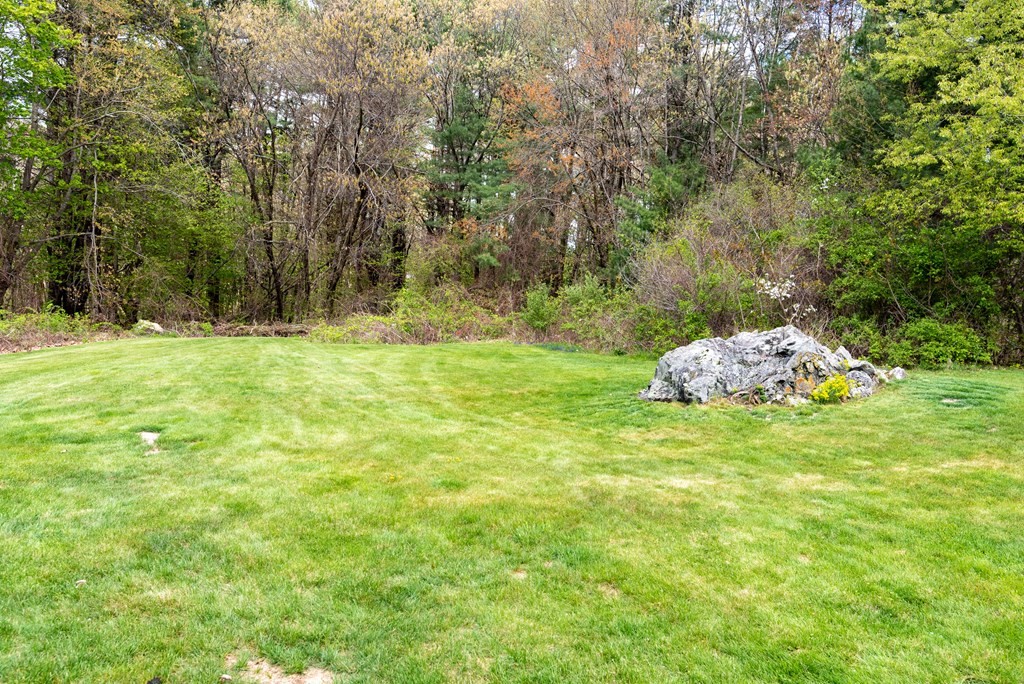 40 Riley Road Northborough, MA 01532 - Photo 3 of 24 a backyard of a house with large trees and plants