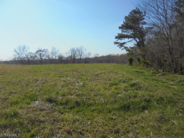 0 Adams Farm Road Randleman, NC 27317 - Photo 14 of 17 Gallery Image 14